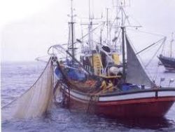 Inovação: Sistema electrónico de controlo remoto das pescarias testado em Espanha.