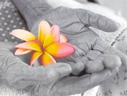 Pensões serão cortadas a metade daqui a 20 anos