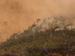 Incêndio em Tenerife obriga a evacuações.