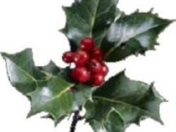 Feliz Natal aos nossos soldados em missão no exterior.