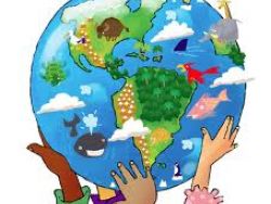 Cientistas liderados por um Português monitorizam biodiversidade global.