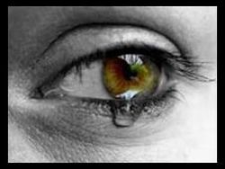 11M - Ainda choramos as vítimas inocentes da intolerância.