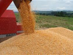 Produção de cereais na Ibéria