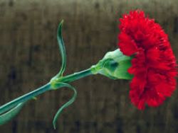 25 de Abril.