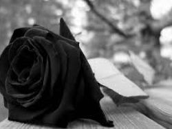 Luto no desporto Brasileiro e mundial. 