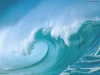 Finlandese querem investir no mar