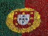 Dia da identidade Portuguesa