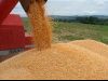Produção de cereais na Ibéria